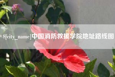 莒县中国消防救援学院地址路线图