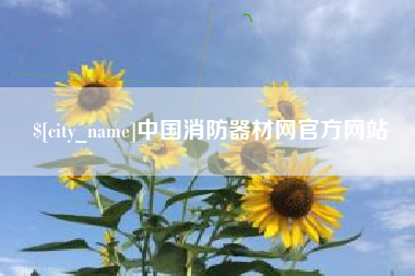 莒县中国消防器材网官方网站