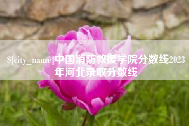 莒县中国消防救援学院分数线2023年河北录取分数线