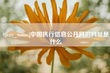 莒县中国执行信息公开网的网址是什么