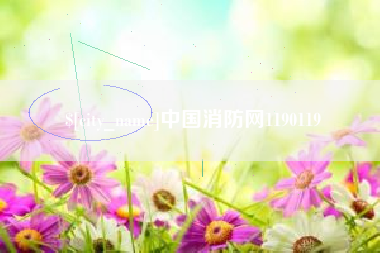 莒县中国消防网1190119