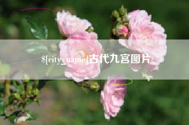 莒县古代九宫图片