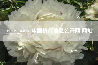 莒县中国执行信息公开网 网址
