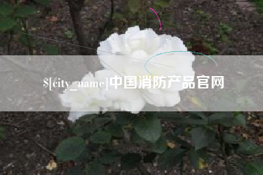 莒县中国消防产品官网