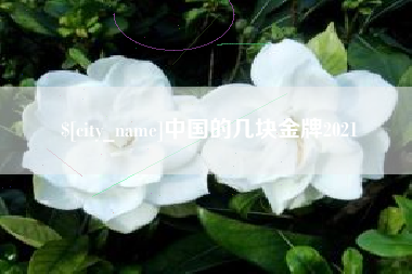 莒县中国的几块金牌2021
