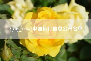 莒县中国执行信息公开名单