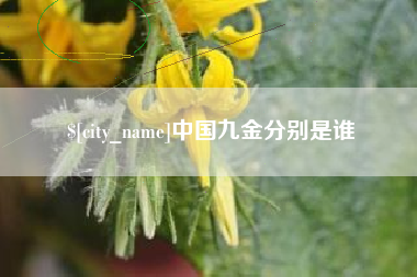 莒县中国九金分别是谁