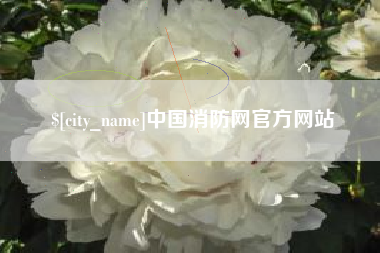 莒县中国消防网官方网站