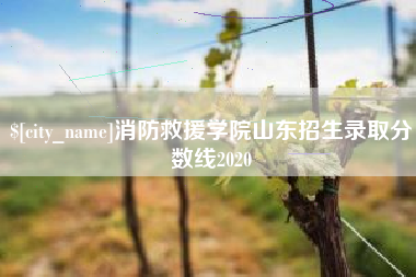 莒县消防救援学院山东招生录取分数线2020