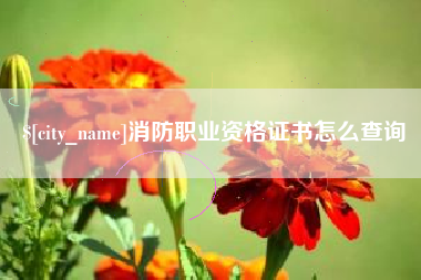 莒县消防职业资格证书怎么查询