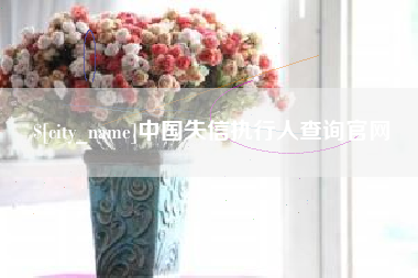 莒县中国失信执行人查询官网