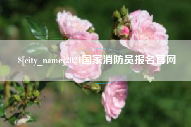 莒县2021国家消防员报名官网
