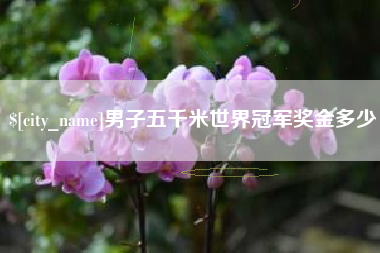 莒县男子五千米世界冠军奖金多少