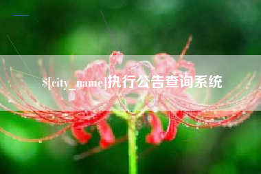 莒县执行公告查询系统