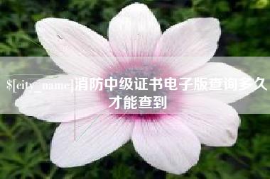 莒县消防中级证书电子版查询多久才能查到