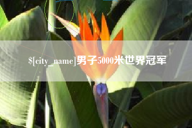莒县男子5000米世界冠军