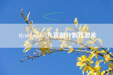 莒县九宫图分割线图片