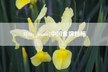 莒县中国金牌包括