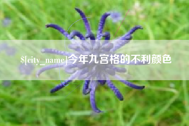 莒县今年九宫格的不利颜色