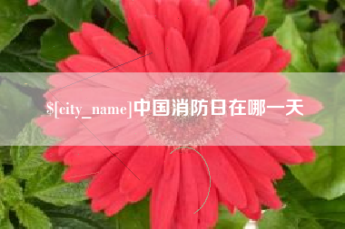 莒县中国消防日在哪一天