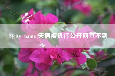 莒县失信被执行公开网查不到