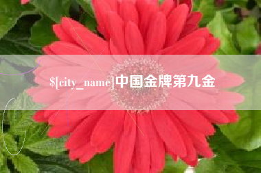 莒县中国金牌第九金