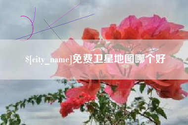 莒县免费卫星地图哪个好
