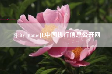 莒县1.中国执行信息公开网