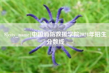 莒县中国消防救援学院2024年招生分数线
