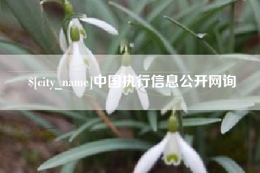 莒县中国执行信息公开网询