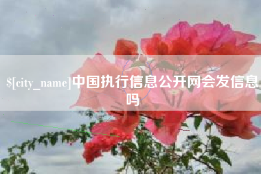 莒县中国执行信息公开网会发信息吗
