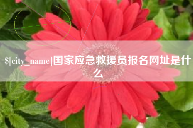 莒县国家应急救援员报名网址是什么