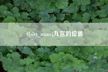 莒县九宫的位置