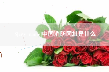 莒县中国消防网址是什么