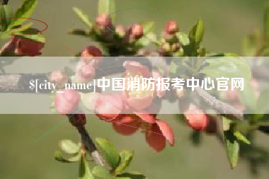 莒县中国消防报考中心官网