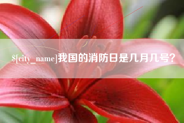 莒县我国的消防日是几月几号？