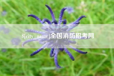 莒县全国消防招考网