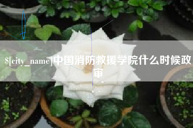 莒县中国消防救援学院什么时候政审