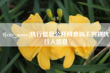 莒县执行信息公开网查询不到被执行人信息