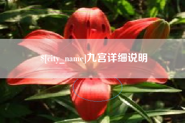 莒县九宫详细说明