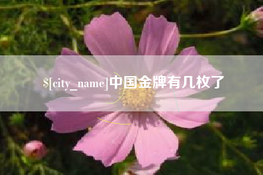 莒县中国金牌有几枚了