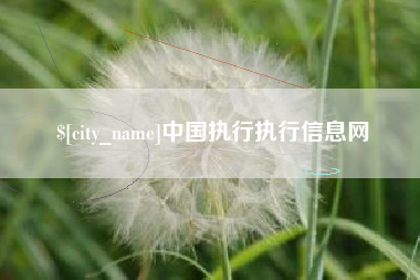 莒县中国执行执行信息网