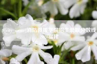 莒县消防救援学院招生录取分数线2020福建