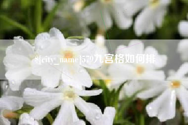 莒县579九宫格如何排