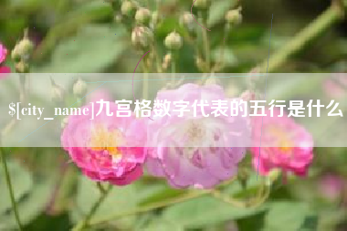 莒县九宫格数字代表的五行是什么