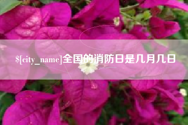 莒县全国的消防日是几月几日
