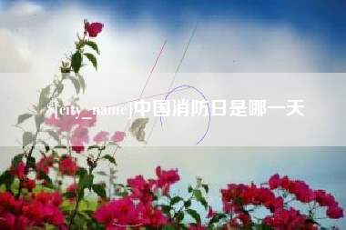莒县中国消防日是哪一天
