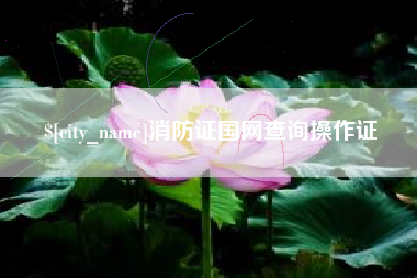 莒县消防证国网查询操作证