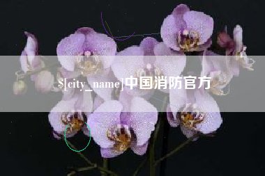 莒县中国消防官方