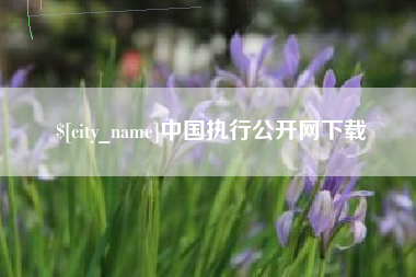 莒县中国执行公开网下载